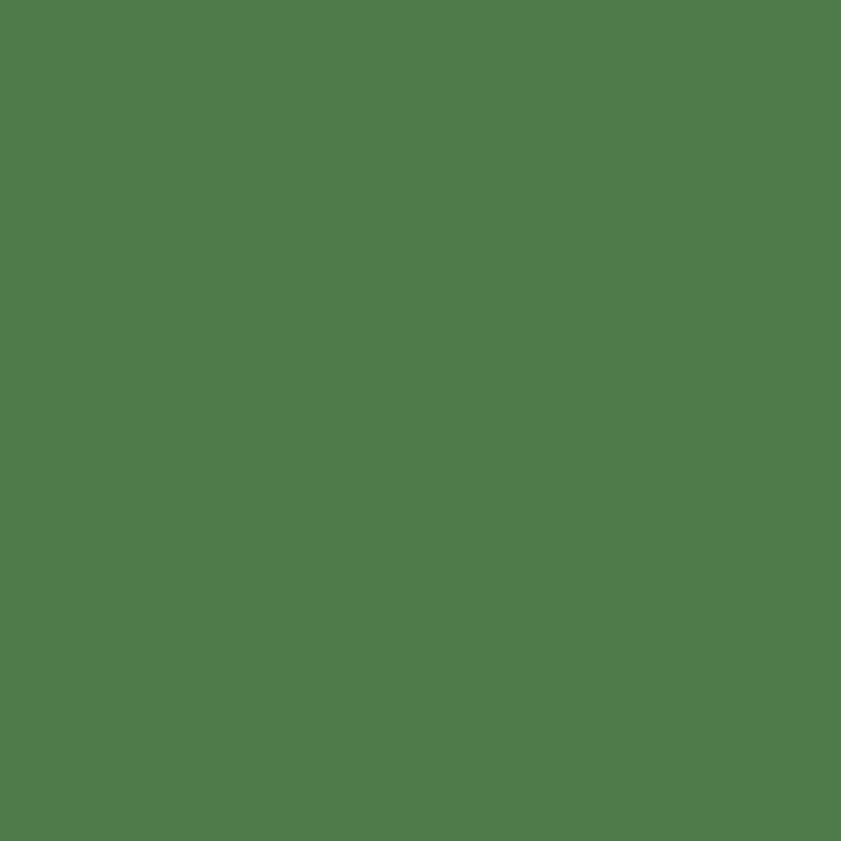 Farn (Farbfeld)