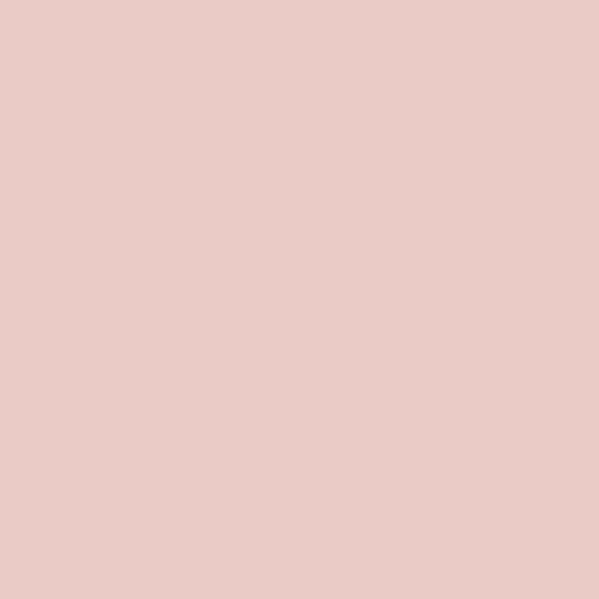 Puderrosa (Farbfeld)